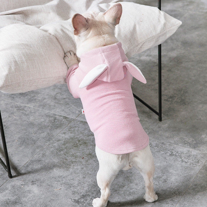 WhiskerWash PawChic™ – Seasonal Dogwear for Spring & Autumn