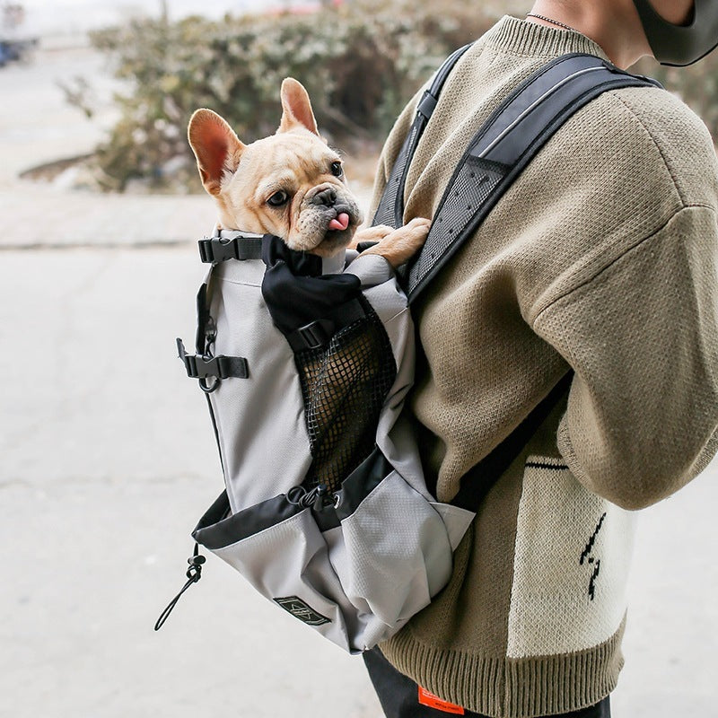 WhiskerWash PawPorter™ – Double Shoulder Travel Carrier Backpack