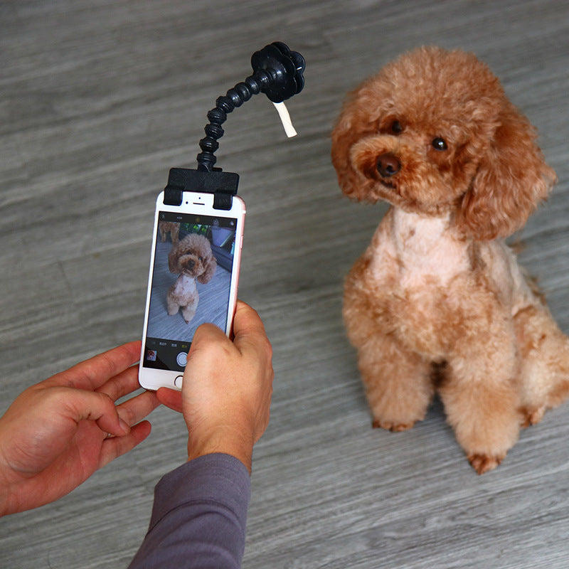 WhiskerWash SelfieSnout™ – Pet Selfie Stick Toy Attachment