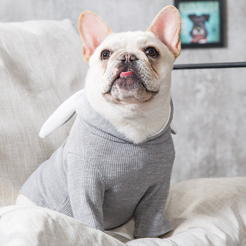 WhiskerWash PawChic™ – Seasonal Dogwear for Spring & Autumn