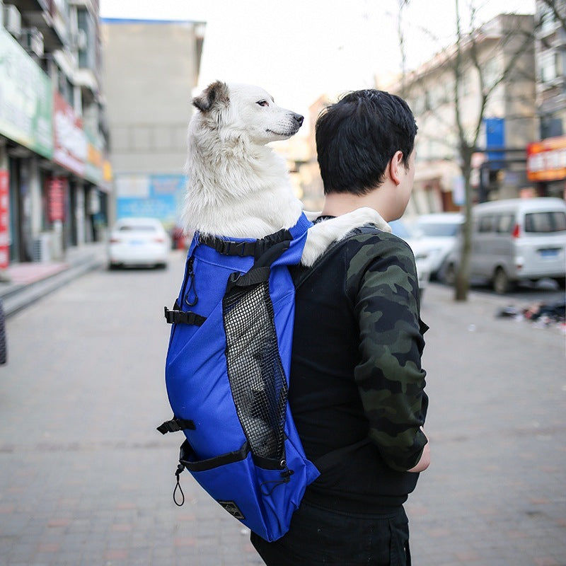 WhiskerWash PawPorter™ – Double Shoulder Travel Carrier Backpack