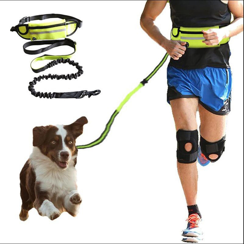 WhiskerWash FreeStride™ Hands-Free Dog Leash Belt
- With Shock-Absorbing Bungee, Phone Pocket & Water Bottle Holder – For Dogs up to 180 lbs