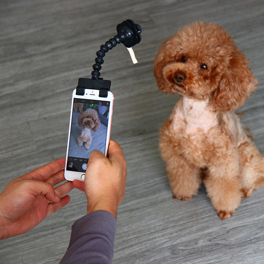 WhiskerWash SelfieSnout™ – Pet Selfie Stick Toy Attachment