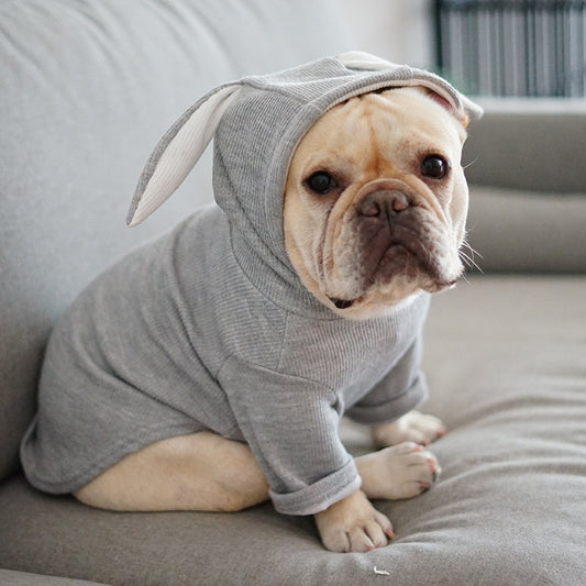 WhiskerWash PawChic™ – Seasonal Dogwear for Spring & Autumn