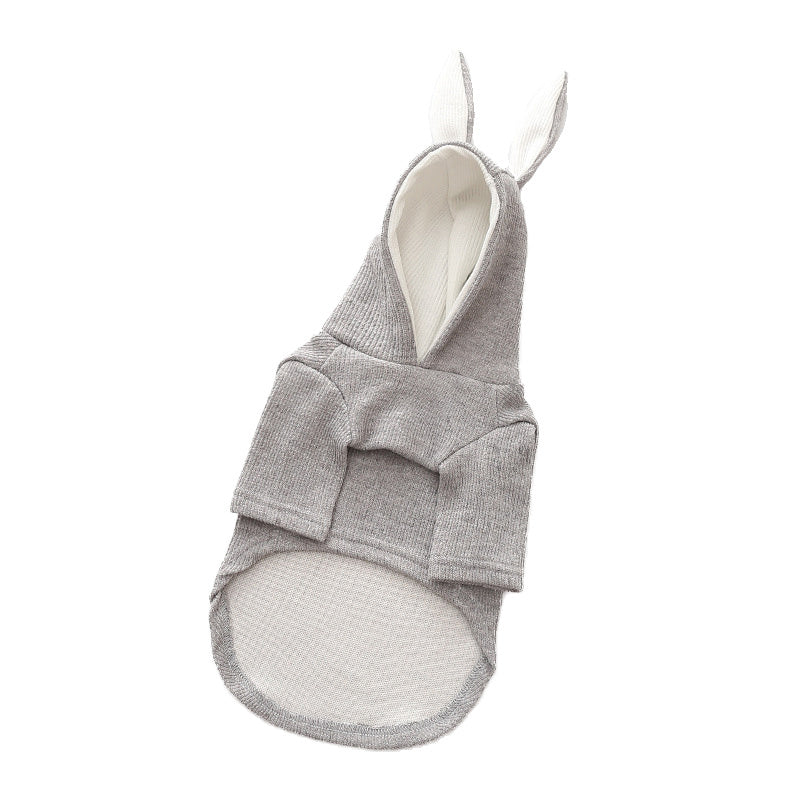 WhiskerWash PawChic™ – Seasonal Dogwear for Spring & Autumn