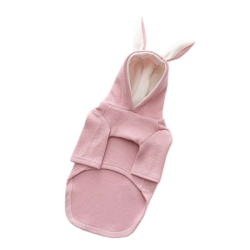 WhiskerWash PawChic™ – Seasonal Dogwear for Spring & Autumn