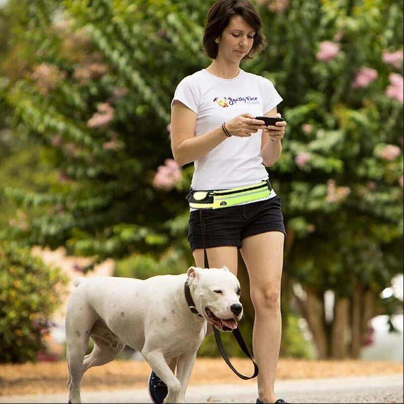 WhiskerWash FreeStride™ Hands-Free Dog Leash Belt
- With Shock-Absorbing Bungee, Phone Pocket & Water Bottle Holder – For Dogs up to 180 lbs