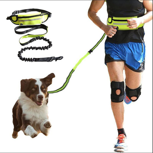 WhiskerWash FreeStride™ Hands-Free Dog Leash Belt
- With Shock-Absorbing Bungee, Phone Pocket & Water Bottle Holder – For Dogs up to 180 lbs