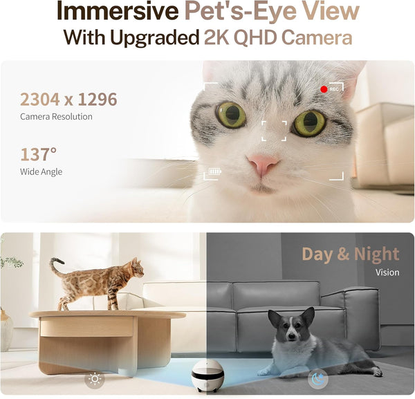 PetWatch 2K Camera