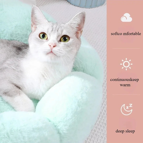 Cozy Flower Pet Bed